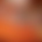 Nina30, Travestiet, 30 jaar oud, 't Veld (2)